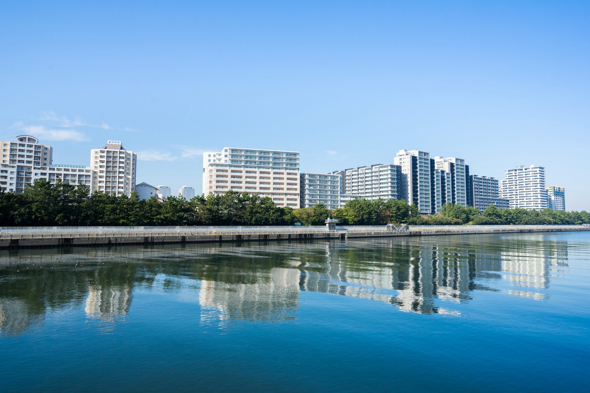 海沿いに高層マンションが並んでいる写真